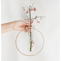laterior 예쁜 인테리어 화병, 육각형(소)