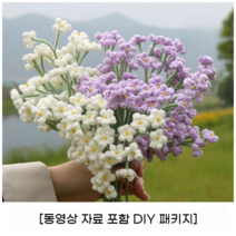 코바늘 사계절 손 뜨개질 DIY 취미키트 꽃 다발 태교 니트 왕초보 만들기 세트, 7 안개꽃 DIY패기지