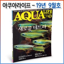 아쿠아라이프 2019년 9월호 (한국어판)