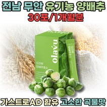 전남 무안 유기농 양배추 효소 고소한 곡물맛 가스트로 AD 함유 60만 역가 15곡 곡류 혼합 단백질 탄수화물 1일1회 여성 남성 30대 간편한 스틱 파우더 가루 분말 파는곳 추천, 30포, 1박스