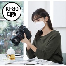 늘푸른마스크 kf80 여름마스크 10매 숨쉬기편한 무형광 황사마스크 대형 중형 소형, KF80 대형, 1개