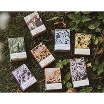감성 미니 엽서 100매 사계절 꽃 플라워 인스 다꾸 다이어리 꾸미기 종이 엽서 선물, 노란색