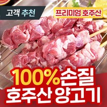 [100% 손질 양고기] 숄더랙 프렌치렉 토마호크 양꼬치 양갈비 프렌치드 램 큐브 스테이크 프리미엄 호주산 구이용, 9) 램 대왕꼬치 700g [10꼬치]