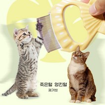 케어펫 고양이 단모빗 E1 2개, 2개세트, 브라운