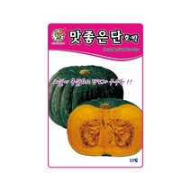 호박씨앗 맛좋은단호박 10립 덩굴성 다수확 품종, 1개