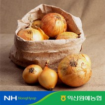 [익산원예농협] 익산 탑마루 22년 햇 양파 특 10kg