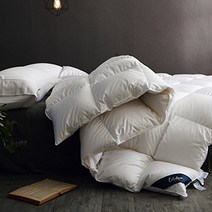 Globon Fusion Goose Down Comforter Queen Size Heavy Weight for Winter 50OZ 650 Fill Power 100% C, 1