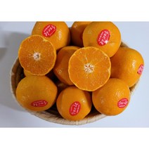 새벽배송 고당도 제주산 노지귤 특1등급 감귤 고급감귤 프리미엄 과일선물 기념일 축하선물, 고급감귤 노지귤 3kg, 1개