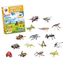 브랜드 3D입체 곤충퍼즐세트(16종 98pcs)