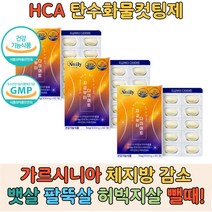 단기간 단기 한달 뱃살 옆구리살 감량 다이어트 보조제 체지방 내장지방 분해 촉진제 예신 산후 효과좋은 가르시니아 HCA 30대 40대 여성 탄수화물 컷팅제 체중감소