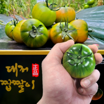 [농협인증 정품] 오리지널 부산 대저토마토 짭짤이 S 2S 3S 로얄과 1kg 2.5kg 산지직송, 2-1. 대저 짭짤이 2.5kg (로얄과 S)