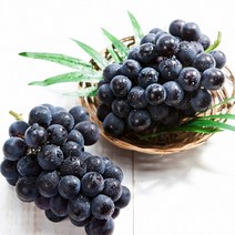 김천 프리미엄 거봉 포도 특품 선물세트 2kg 3kg 4kg, 김천 거봉 2kg 3수 선물용