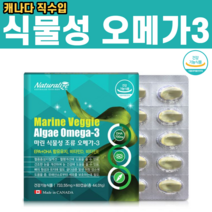 식물성오메가3 ALGAE 임산부 비타민D 비타민E 섭취 가능 플랑크톤 해초 마이크로 알게 혈행개선 중성지질 불포화지방산 저온 초임계 공법 식물성캡슐 무기질 혈액응고