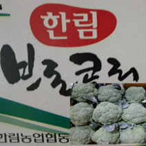 국내산(제주) 햇 브로콜리 최상품 2kg/8kg내외, 1개, 국내산 햇 브로콜리 8kg내외