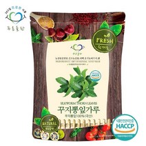 푸른들판 국내산 꾸지뽕 잎 분말 가루 100 haccp 인증 500g