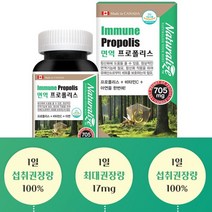 면역기능 프로폴리스 가성비 추천 영양제 항산화 아연 연질캡슐 캐나다 직수입, 기본 2개월분