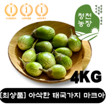 [최상품] 신선하고 아삭한 태국가지 마크아 4KG 커밋가지 흰가지 베트남 동남아 가지 싱싱한 커리 카레 쏨땀빠라 쏨땀 똠양꿍 식자재 특수채소 팟타이 소스 WORLDFOOD 싱싱한