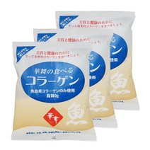 [최신유통기한 2025년 1월 1일] 일본 공식 수입 정품 하나마이 100% 먹는 피쉬콜라겐 100g 3세트 대용량 저분자 어류 생선 피시 펩타이드 분말 가루 영양제, 100g x 3개, 3개