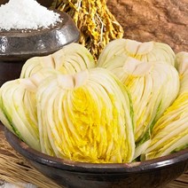 순맑은김치 절임배추 10kg, 단품