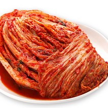 오감동 전라도 배추김치 5kg