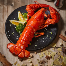 자숙 랍스터 1미(500~600g)