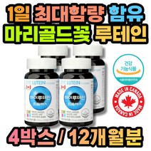 캐나다 루테인 눈 영양제 빌베리 노화 야간운전 x4통 아이들 20대 30대 40대 50대 60대 70대 80대 추천