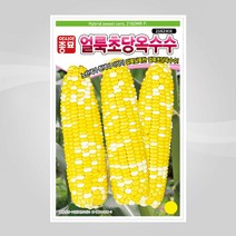 슬로시 슬로시 옥수수씨 옥수수 씨앗 초당 백초당 얼룩초당, 얼룩초당옥수수2000립