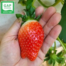 생 딸기 킹스베리딸기 논산딸기 1kg, 킹스베리_실속(21~34g)
