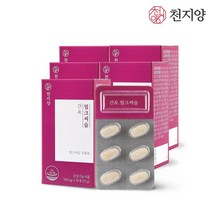 간건강 간영양제 100%충족 천지양 간엔 밀크씨슬 전통원료40종, 5박스