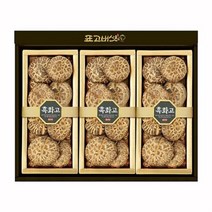 마이산햇살드림농장 참나무 원목재배 표고버섯 선물세트 웰빙3호 300g, 상품선택다팔몰, 쿠팡다팔자 본상품선택