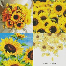 하모니아트 보석십자수 해바라기 시리즈 캔버스형, 신박장터쿠팡 해바라기 들판