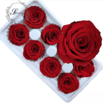 프리저브드 플라워 꽃재료, 레드(플로에버)