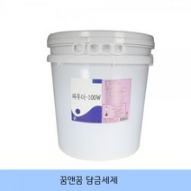 담금세제 보급형 애벌세제 가루세제 불림세제, 본상품
