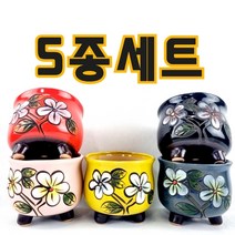 인테리어적인 효과도 겸비한 예쁘고 저렴한 다육이화분