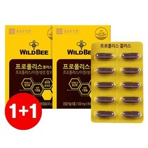종근당건강 와일드비 프로폴리스 플러스 60캡슐 2박스, 500mg 60캡슐 x 2박스