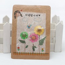 [펠트친구] 압화공예(누름꽃) 크라프트엽서만들기