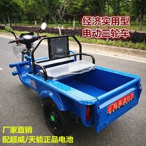 세발전동자전거 전기 세발 자전거 성인 가정용화물 자동차 평판 익스프레스 소형 배터리 무거운 픽업 어린이, [17] 일반 버전의 소형 베어카(배터리와 충전기가 없, [01] 48V