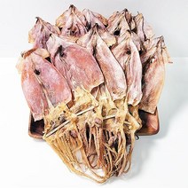 해진 울릉도 건오징어 (소)10미(450g), 단품