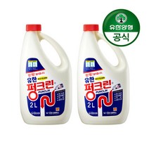 [유한양행]유한 펑크린/배수관 막힘 용해제 2L 2개, 단품
