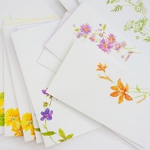 위dnlfarm_늘봄 들꽃 돈봉투 6종 이편지 예쁜 상품권 디자인 종이 부모님용 용봉투 편지지 님용 심플♥Farm, ♥Farm6.노랑어리연꽃