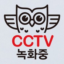기타 바보사랑[뭉키]생활스티커_부엉이 CCTV촬영중02