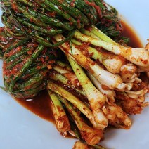 오늘담근 국내산 파김치 쪽파김치 별미김치, 3kg, 1개