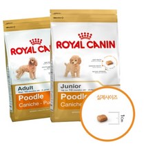 로얄캐닌 독 푸들 1.5kg 주니어 -반려견사료, 본상품, 본상품, 1