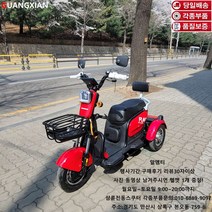 알엠티 KC인증 삼륜 2인승 전동스쿠터 부모선물 RMT-POWERU15 할인행사3일 충전기미포함 배터리 미포함, 레드, 5A