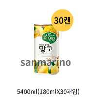 웅진 자연은 망고 180ml x 30캔, 1500캔