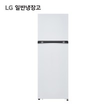 LG전자 일반형 냉장고 방문설치, 화이트, B243W32