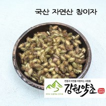창이자200g (국산 자연산) 도꼬마리 볶은 창이자 신이화 유근피 창이자분말 독고마리 작두콩 느룹나무, 국산자연산 신이화100g, 1개