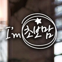 [천삼백케이] [제제데코] 동글동글 초보맘 초보운전 자동차스티커 반사시트지, 소재:반사