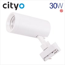 LED 렌즈 투광기 COB 레일 스포트 화이트 30W 주광.주백 KS 서치라이트 씨티, 1, 주광색(5700K)