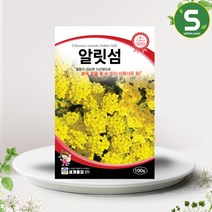 솔림텃밭몰 알릿섬씨앗 100립 월동가능 다년생 알릿섬 꽃씨앗, 단품